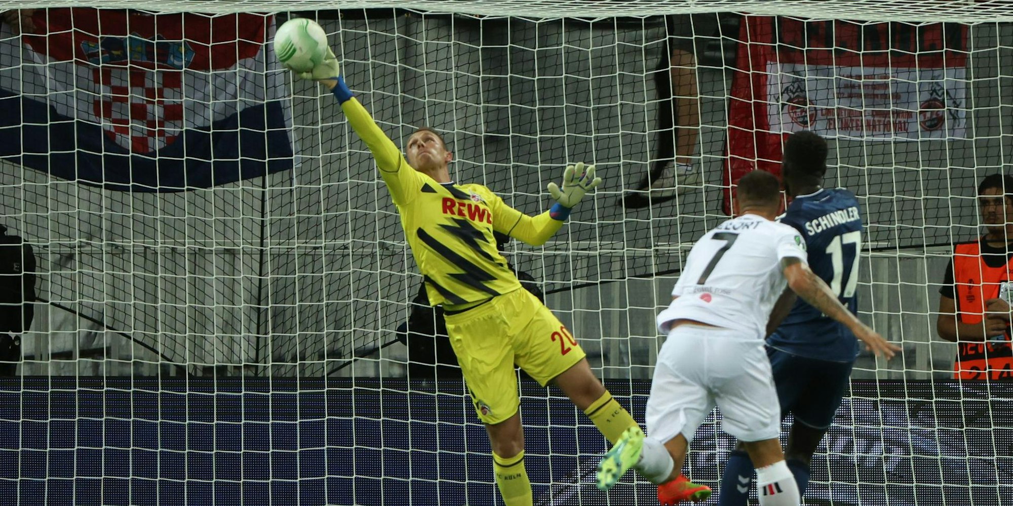 Schwäbe mit Parade in Nizza