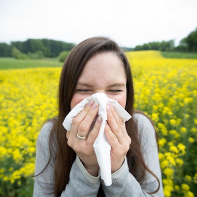 Pollenalelrige_Symbol_Rapsfeld_dpa