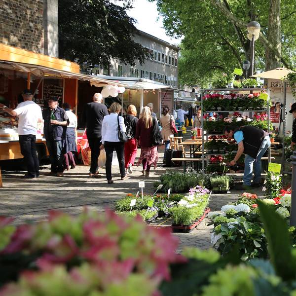 Besucher auf einem Wochenmarkt
