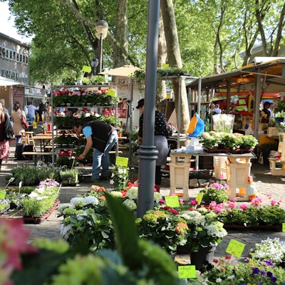 Besucher auf einem Wochenmarkt