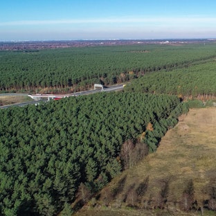 Tesla Gelände Brandenburg dpa