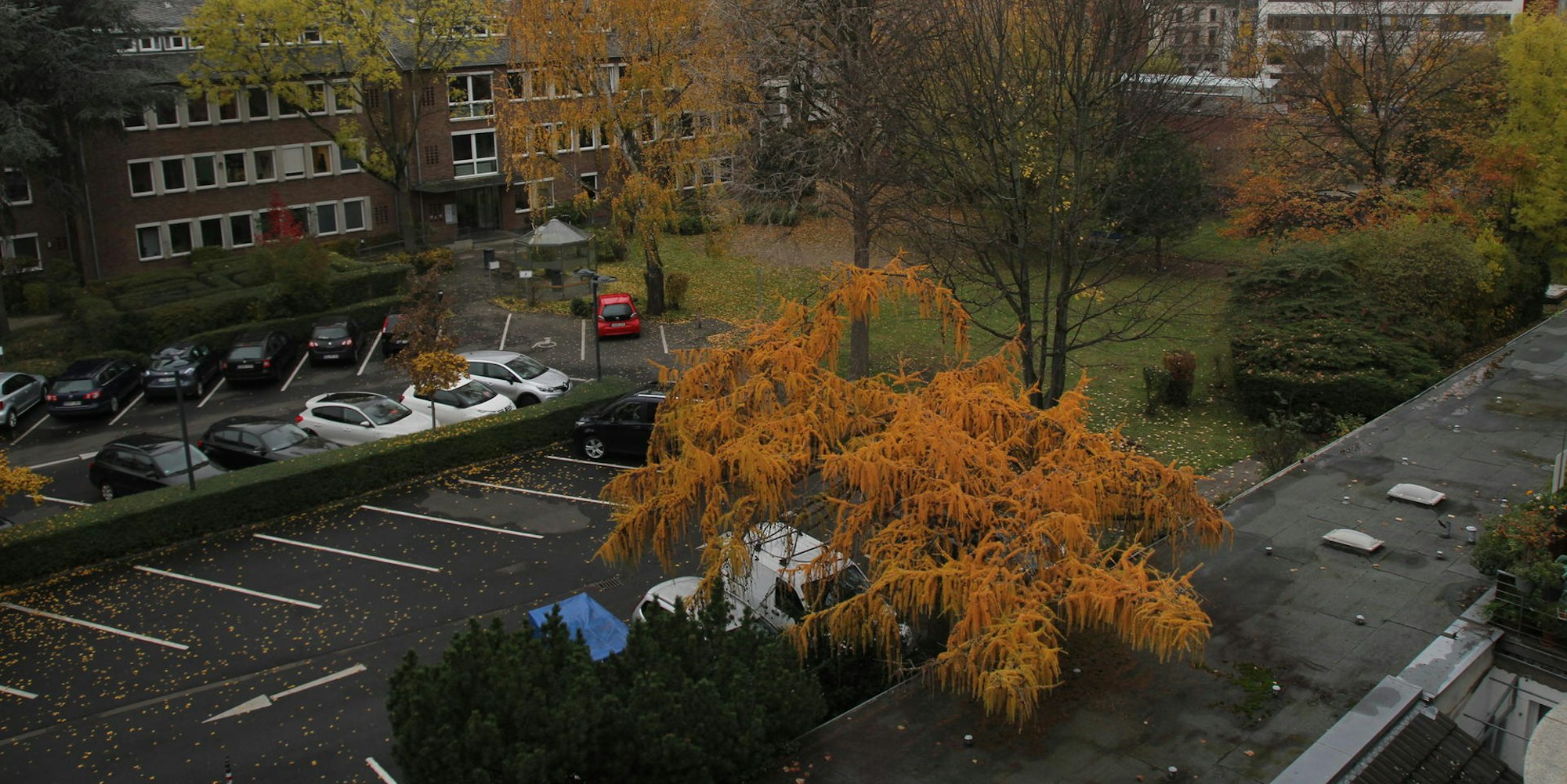 phh-campuskartause (1)