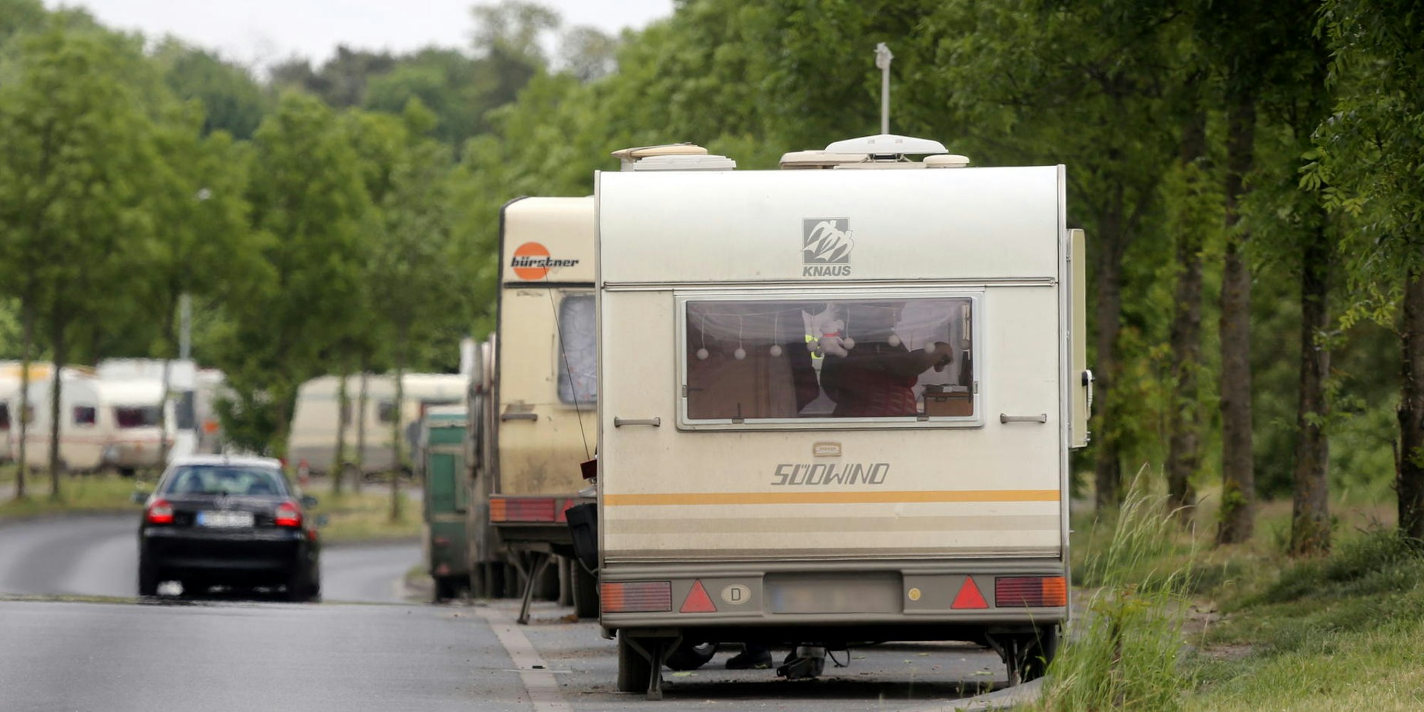 digas-135157286_MDS-KSTA-2015-05-26-kra_strassenstrich003