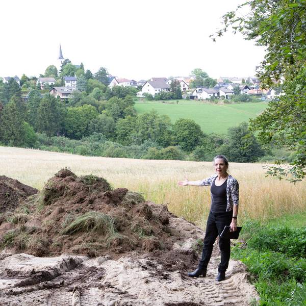 Neuer Inhalt