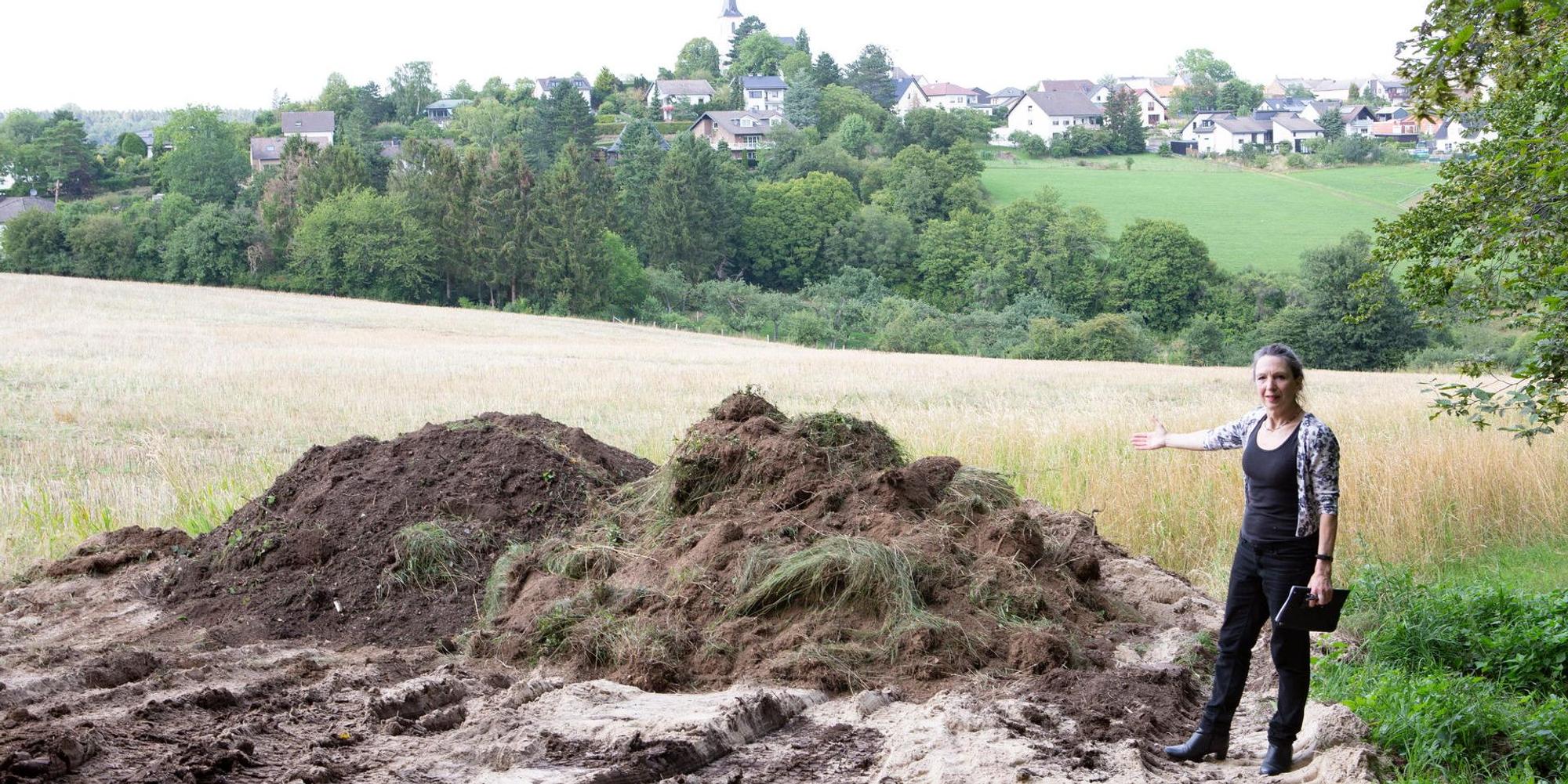 Neuer Inhalt