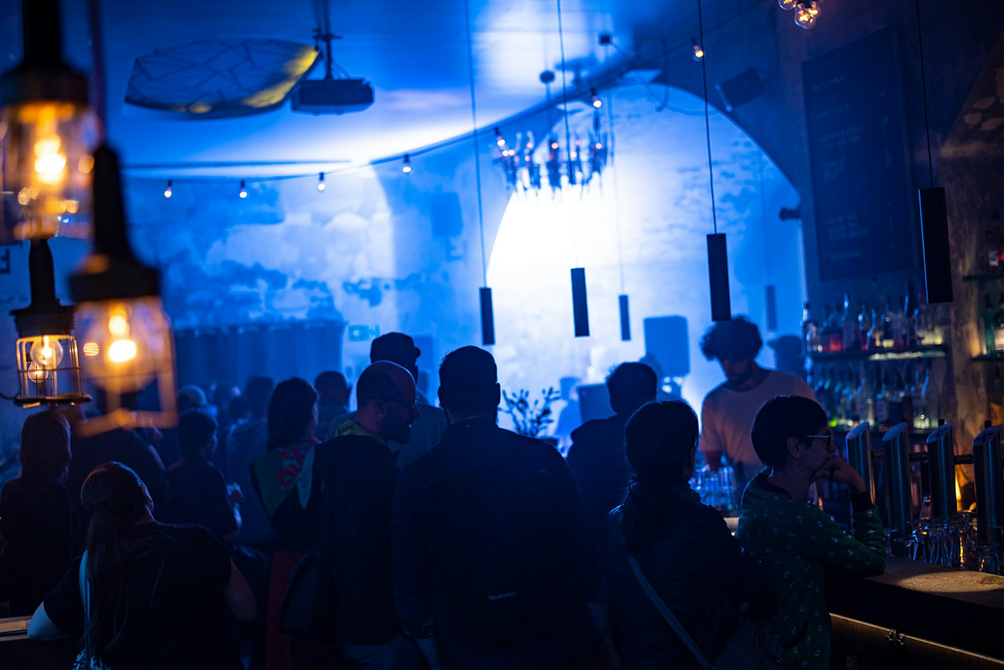 Scheues Reh nachts Marco Martins