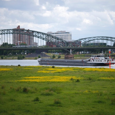 20170606_tb_PollerWiesen_001