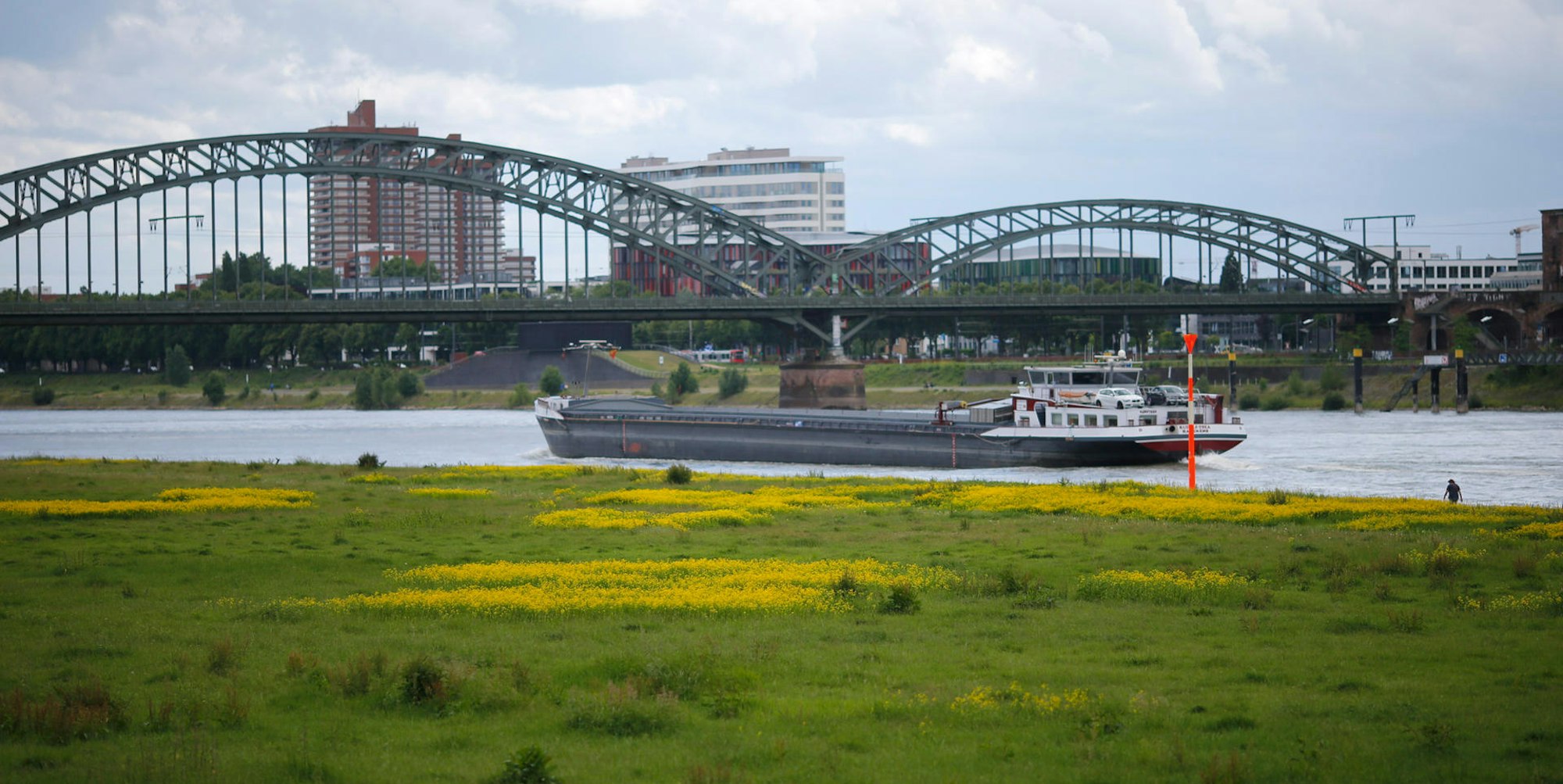 20170606_tb_PollerWiesen_001