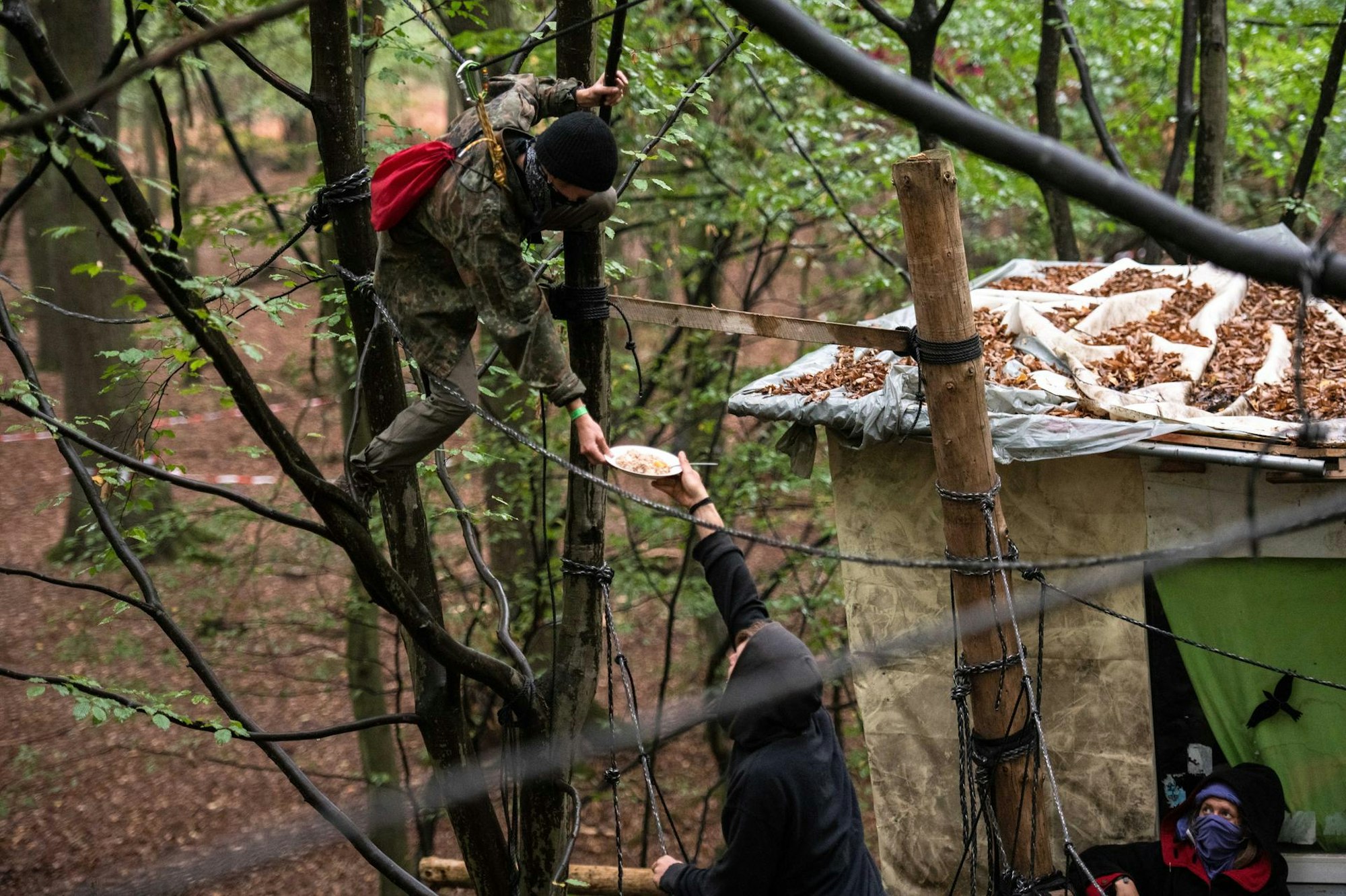 Hambacher Forst5