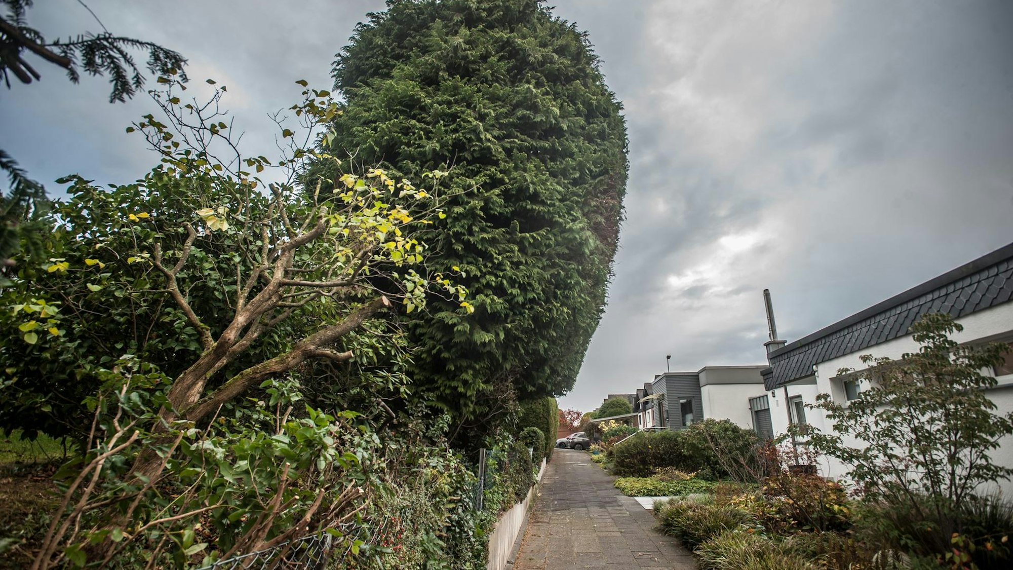 Rechts befinden sich Wohnhäuser, links Pflanzen und Bäume.