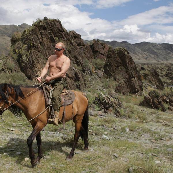 Putin Pferd