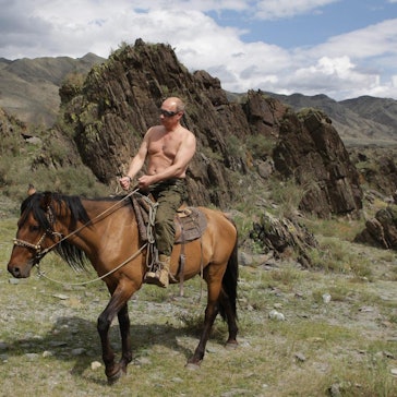 Putin Pferd