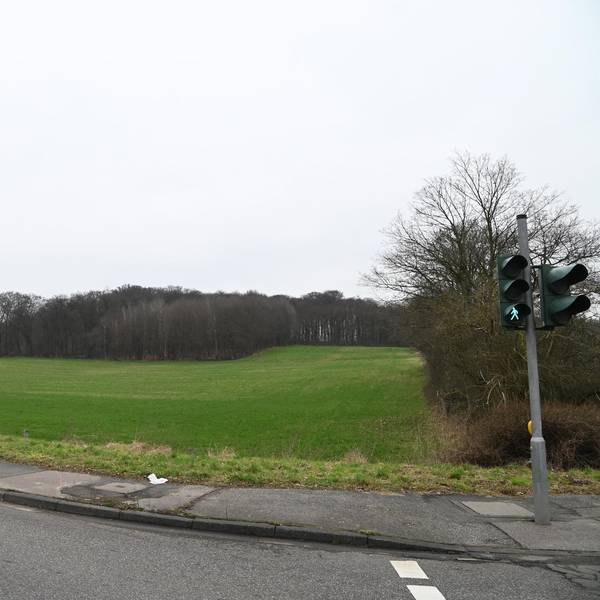 Grünstreifen Wipperfürther Straße 200122