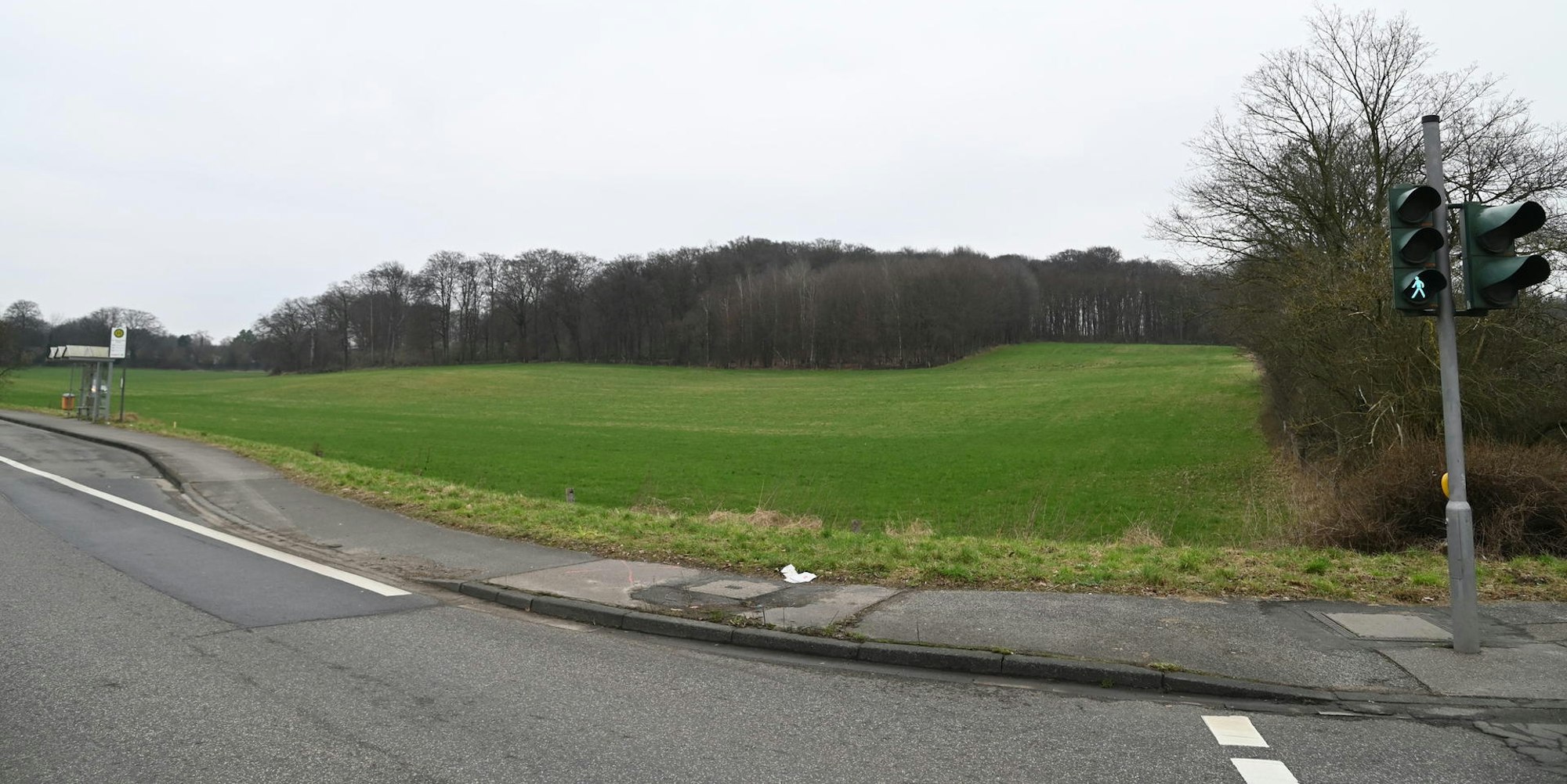 Grünstreifen Wipperfürther Straße 200122