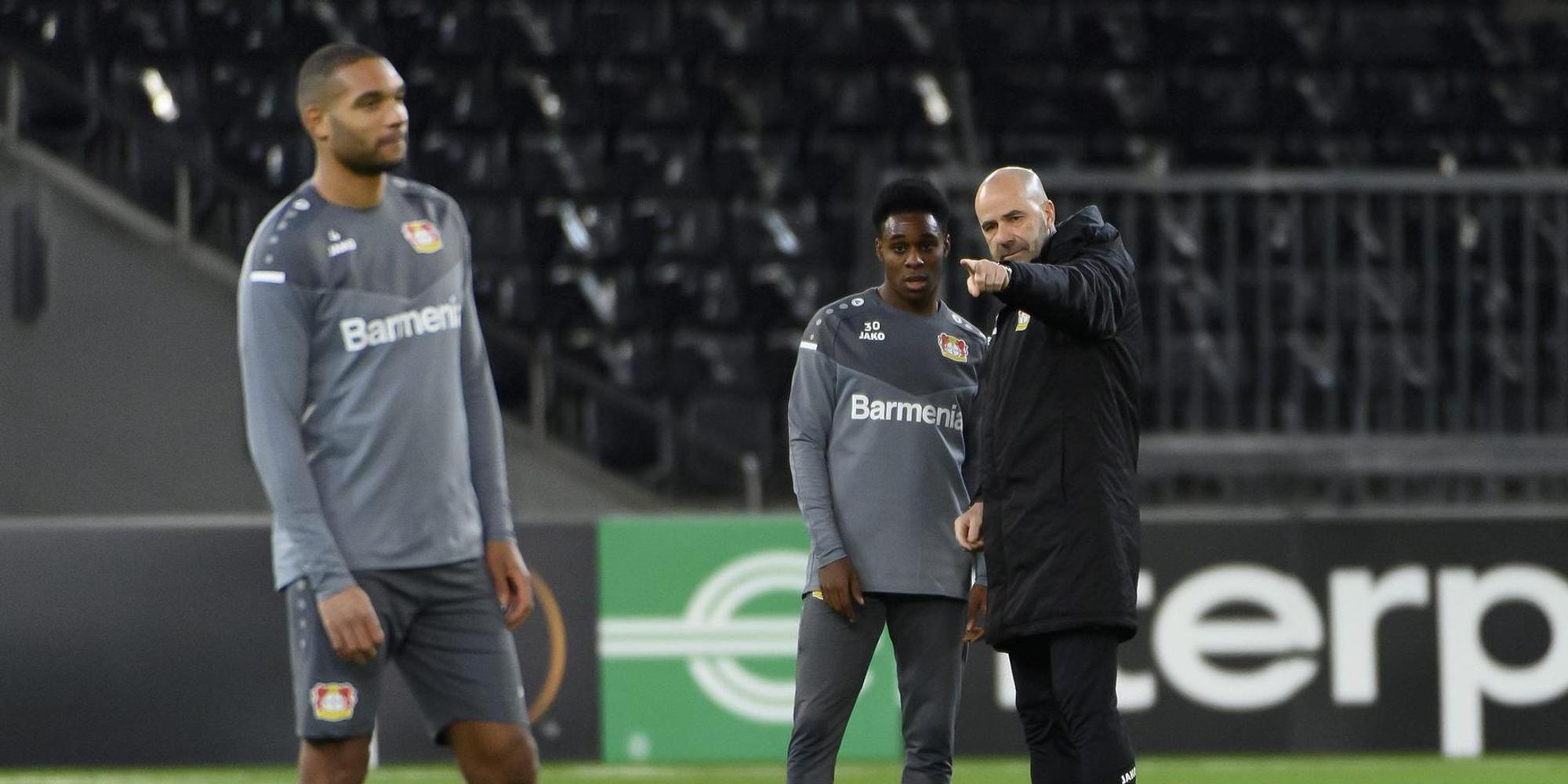 Bosz Kommentarbild