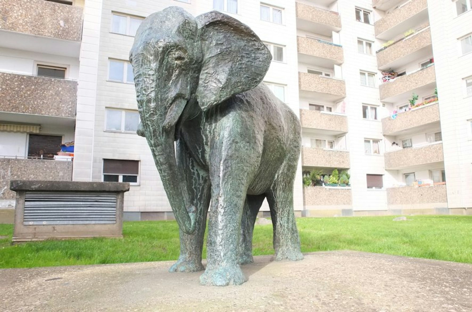 Elefant