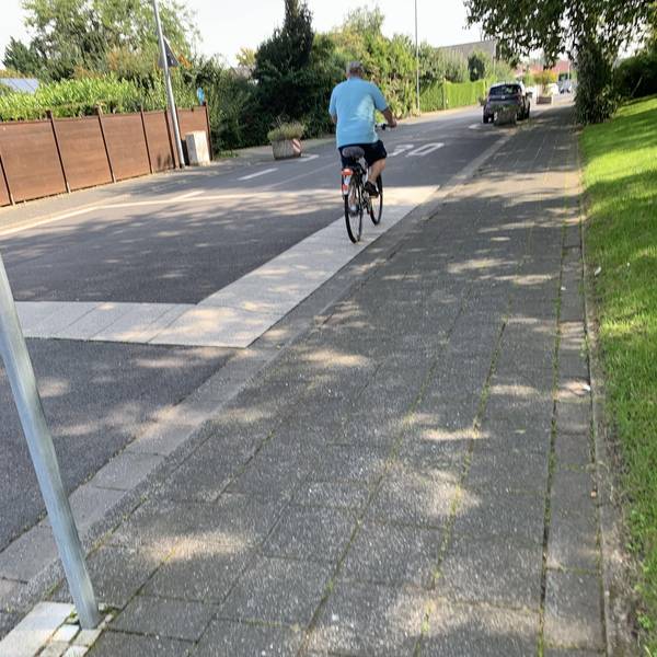 Bergheim_Quadrath-Ichendorf_Oleanderstrasze
