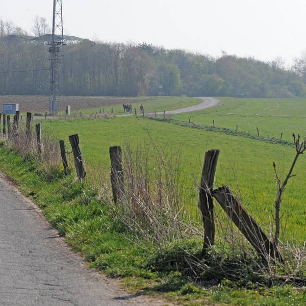 LE_Regionalplan-Heiligeneiche(1)
