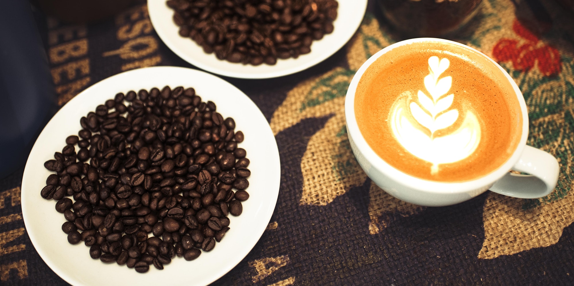 Kaffee - was ist eigentlich Kaffee - Wachmacher Artikel