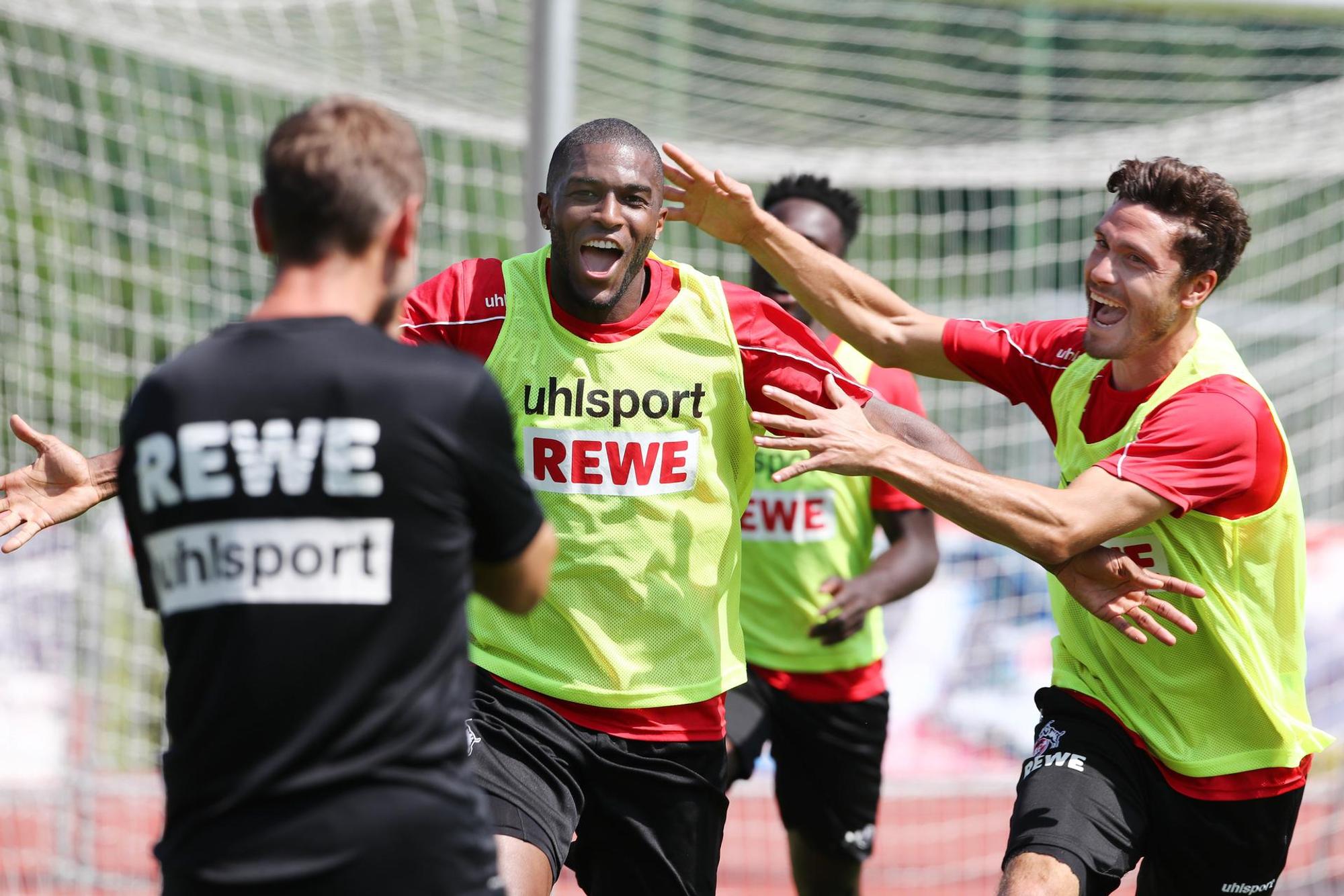modeste_standards