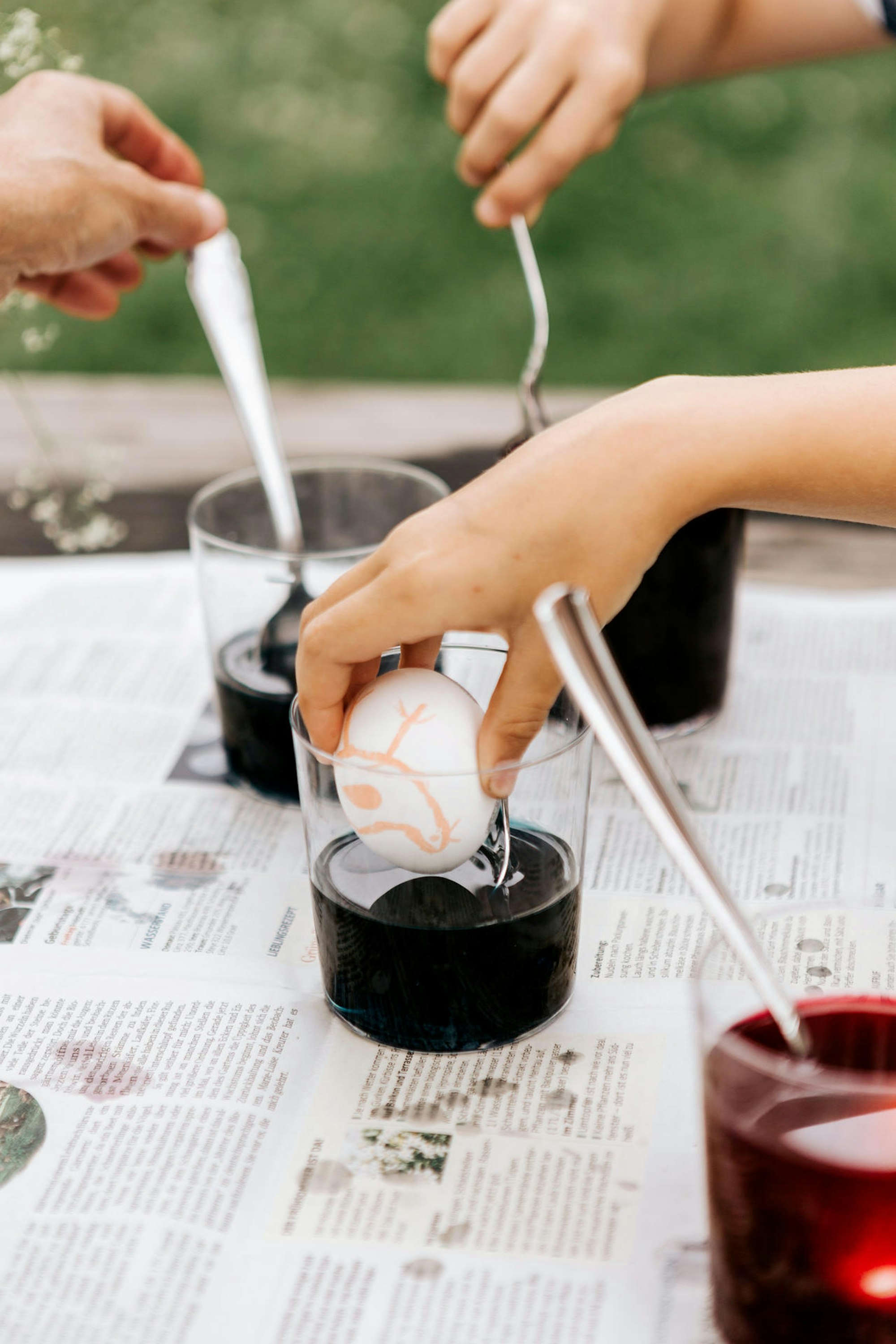 Mit_Kurkuma_und_Roib_64704825