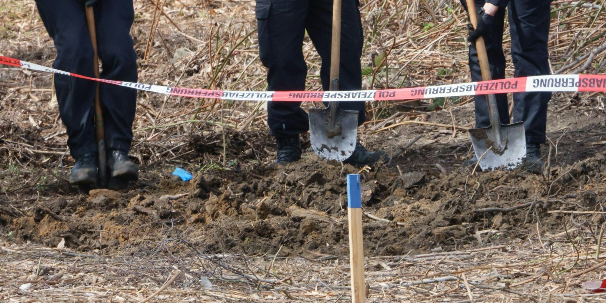 Braunchweig Waldstück
