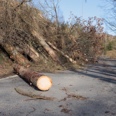 Bild Sturmschaden 20220223