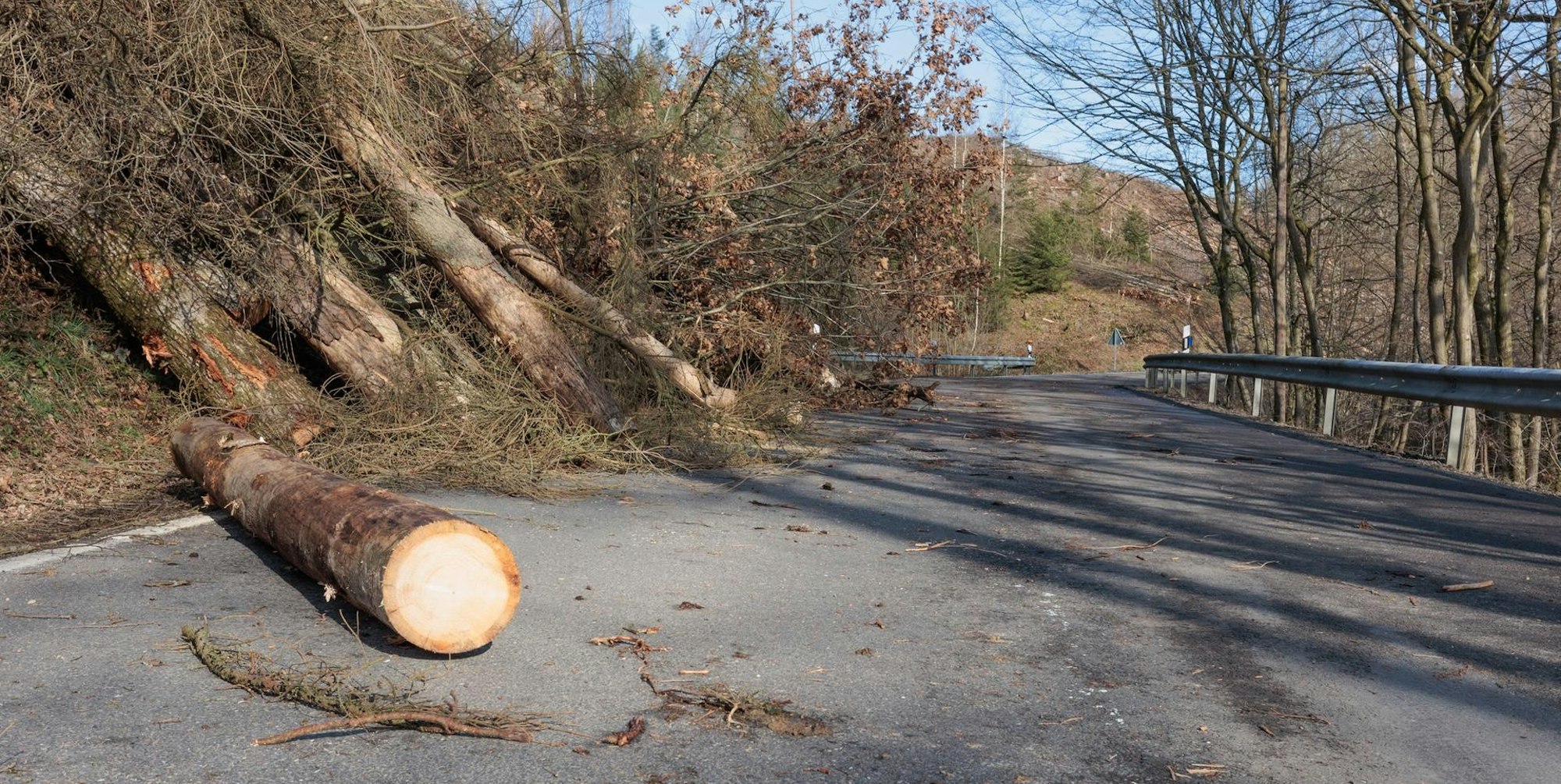 Bild Sturmschaden 20220223