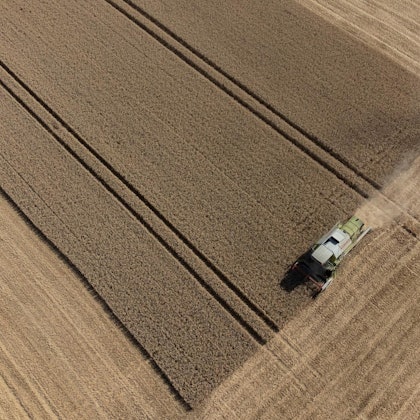 Getreide Deutschland