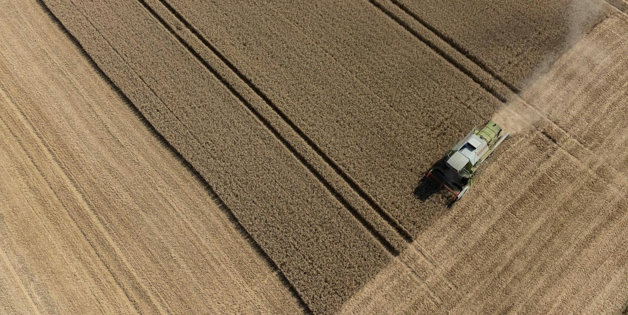 Getreide Deutschland
