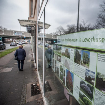 nabu-bundLEV_rar_RLE_12142021ALF_6387