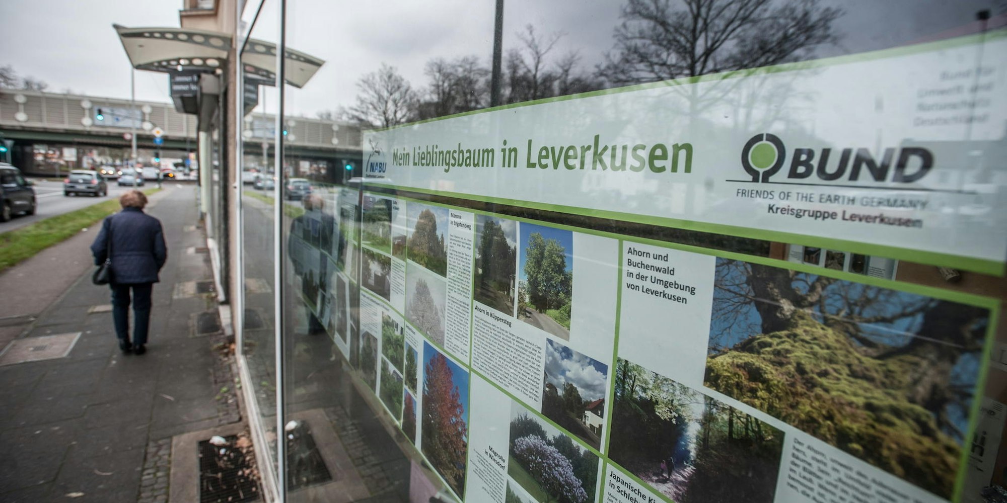 nabu-bundLEV_rar_RLE_12142021ALF_6387