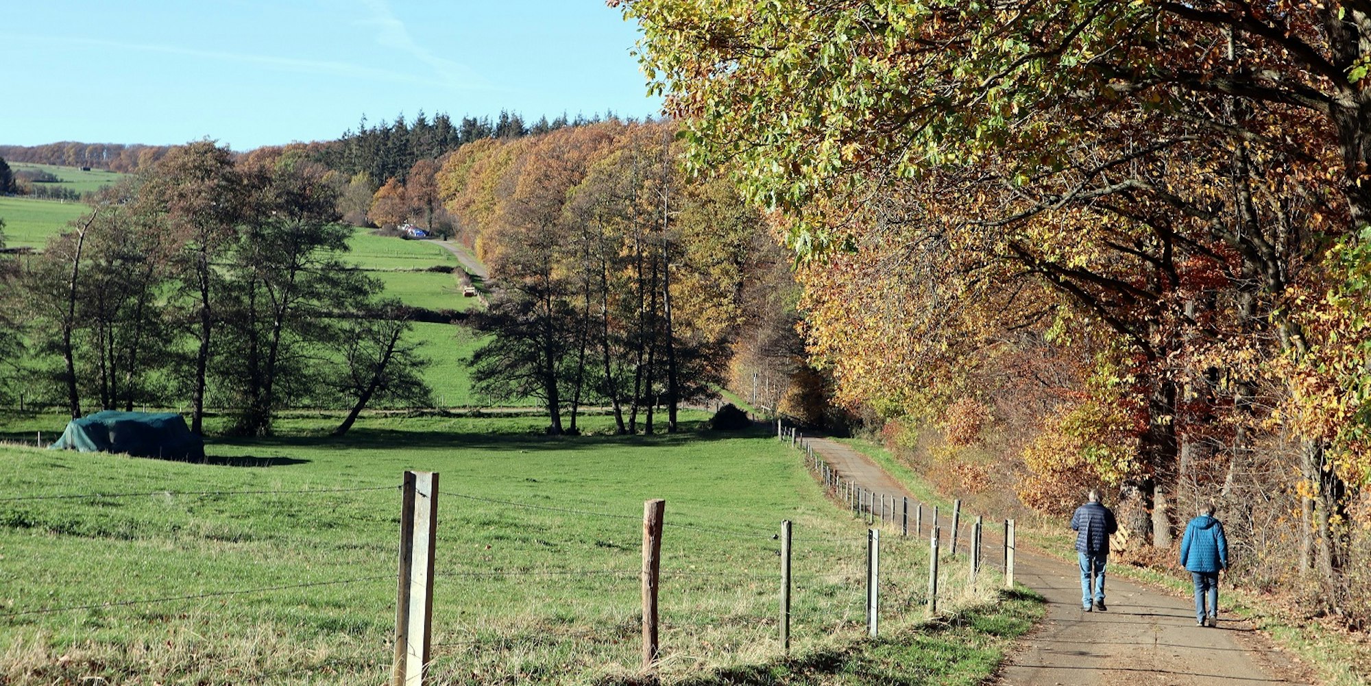 Wanderung Rheinbach Waldweg