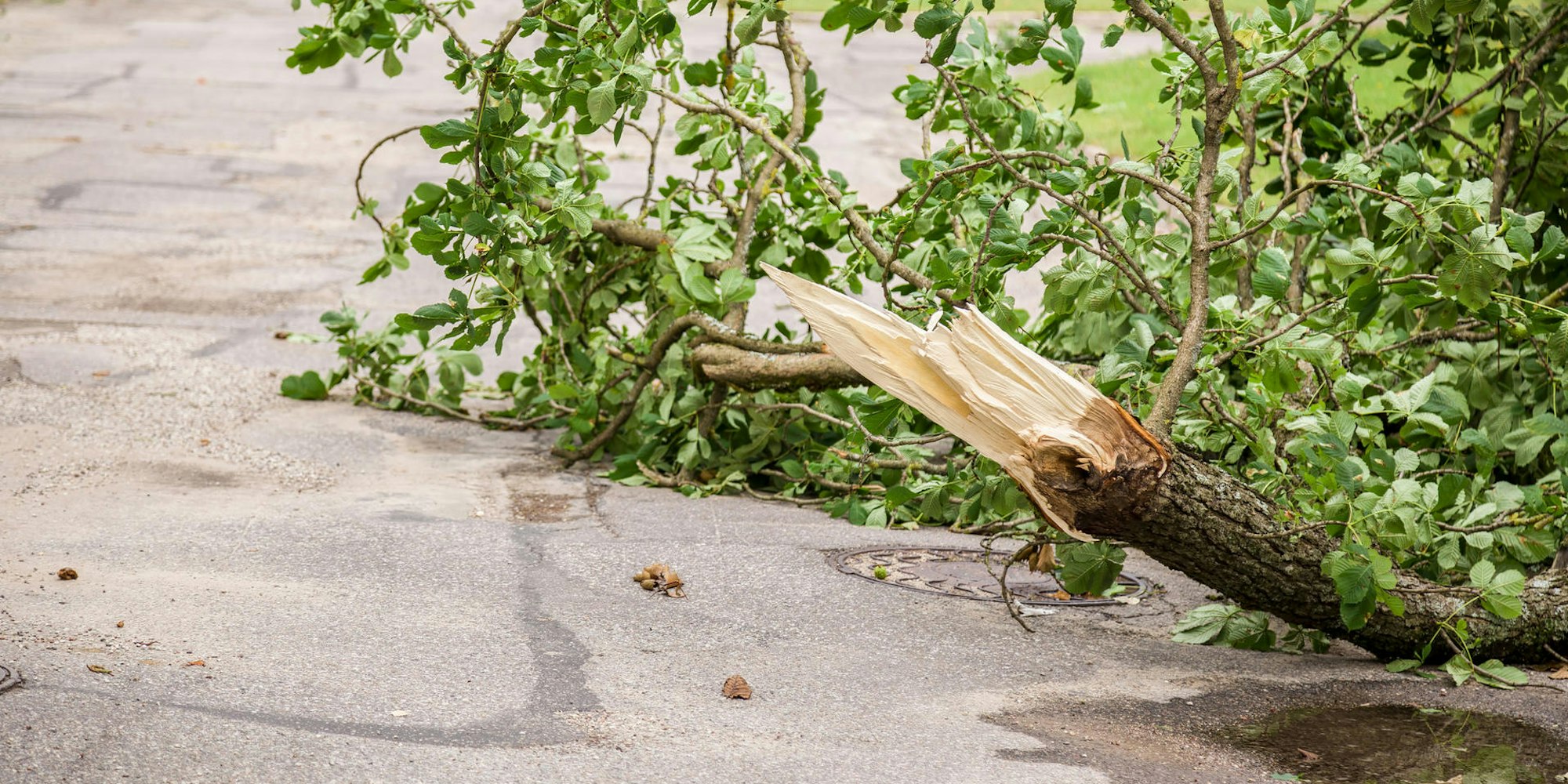 GettyImages-838528024