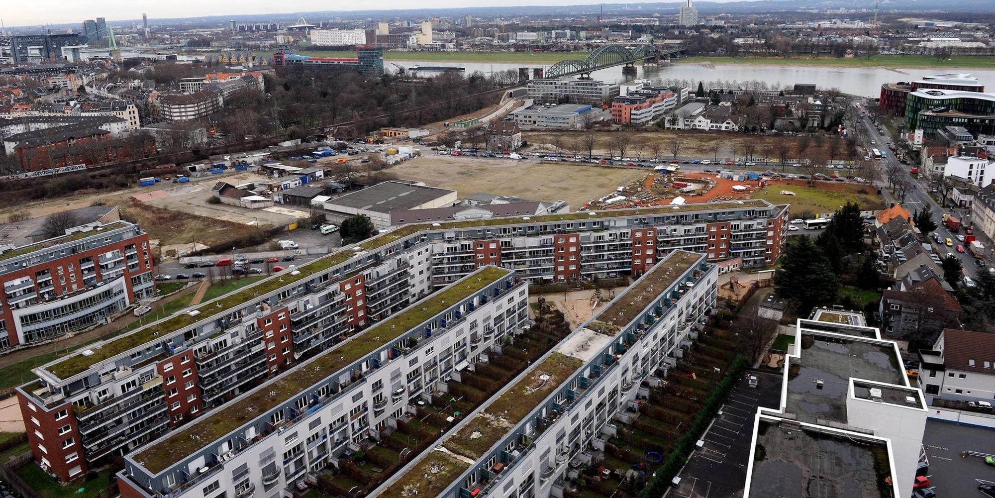 Domgarten