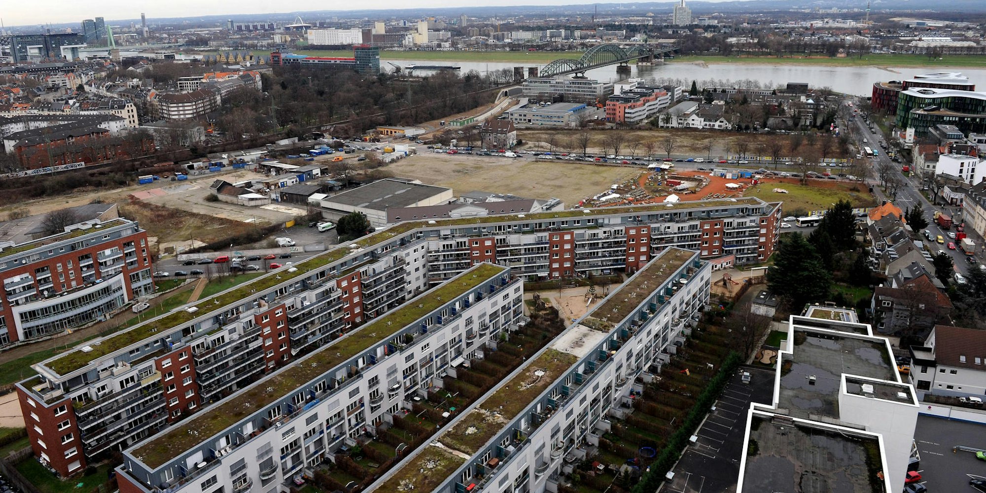 Domgarten