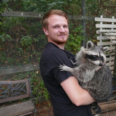 20220831-mfu-waschbaeren2