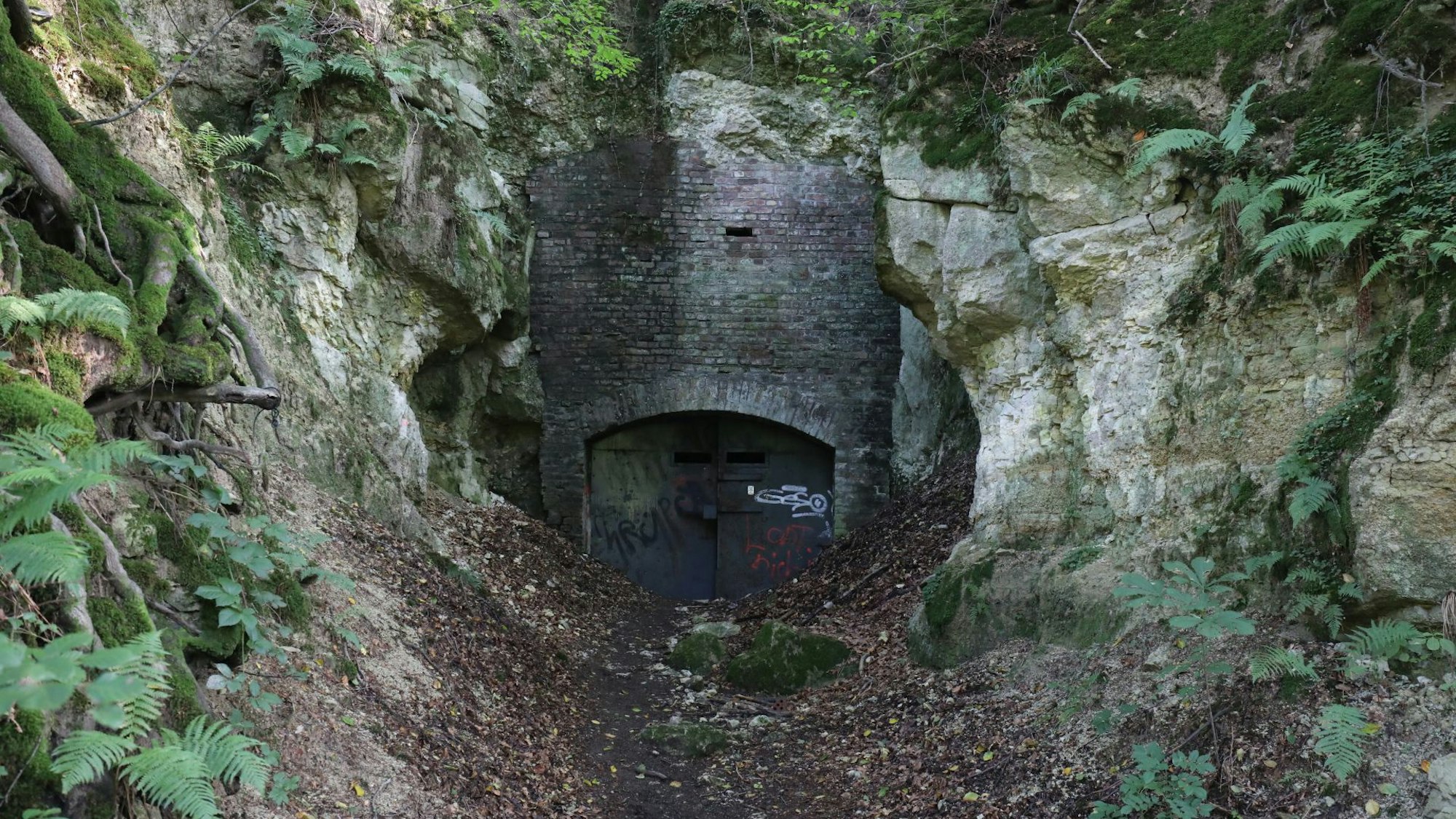 In diesem Stollen der Ofenkaulen wurde Dieter Freese zufällig entdeckt.