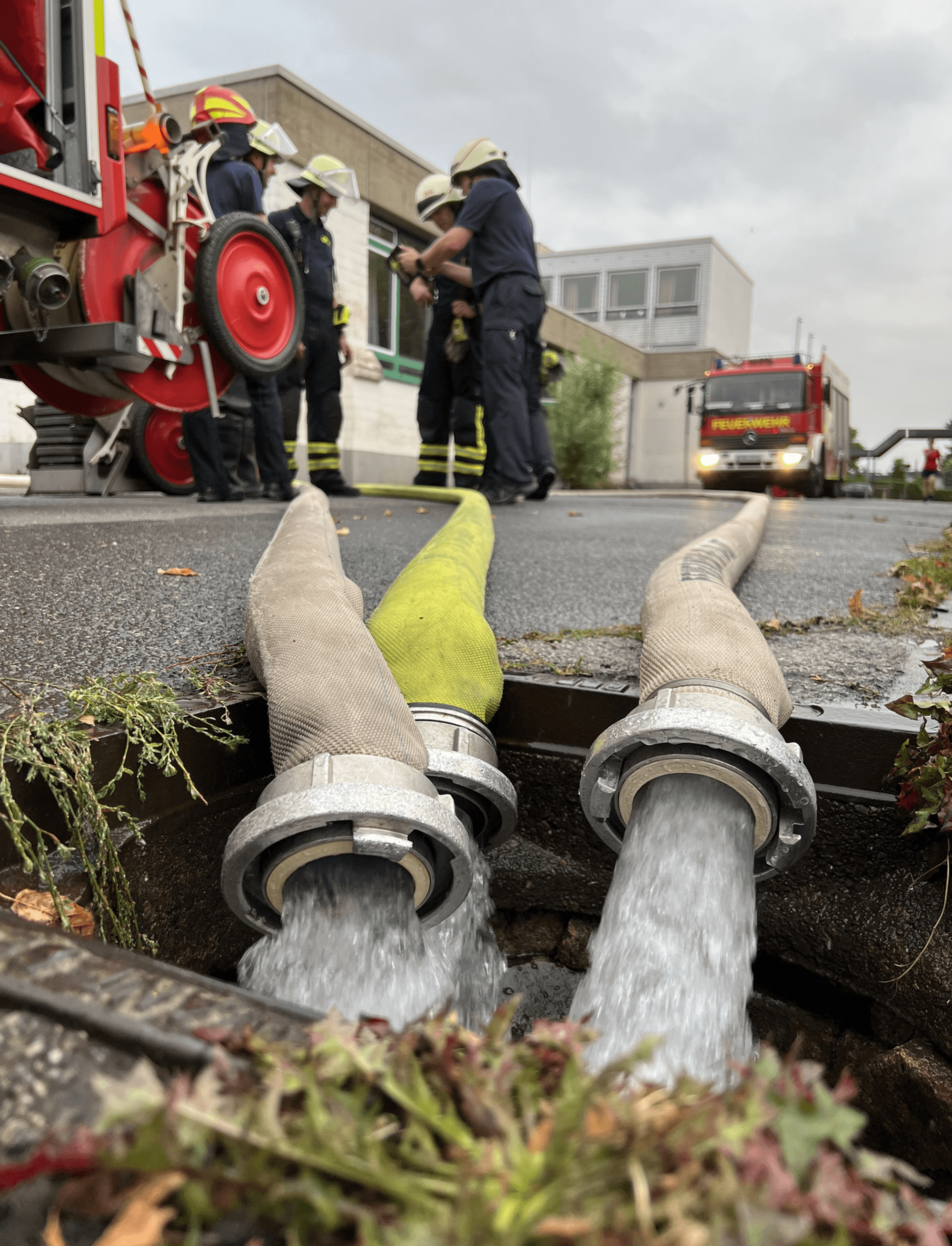 Neuer Inhalt