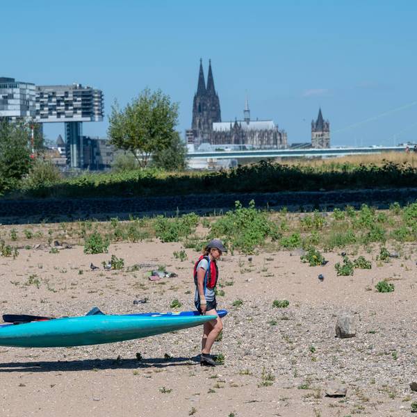 Niedrigwasser Rhein 3