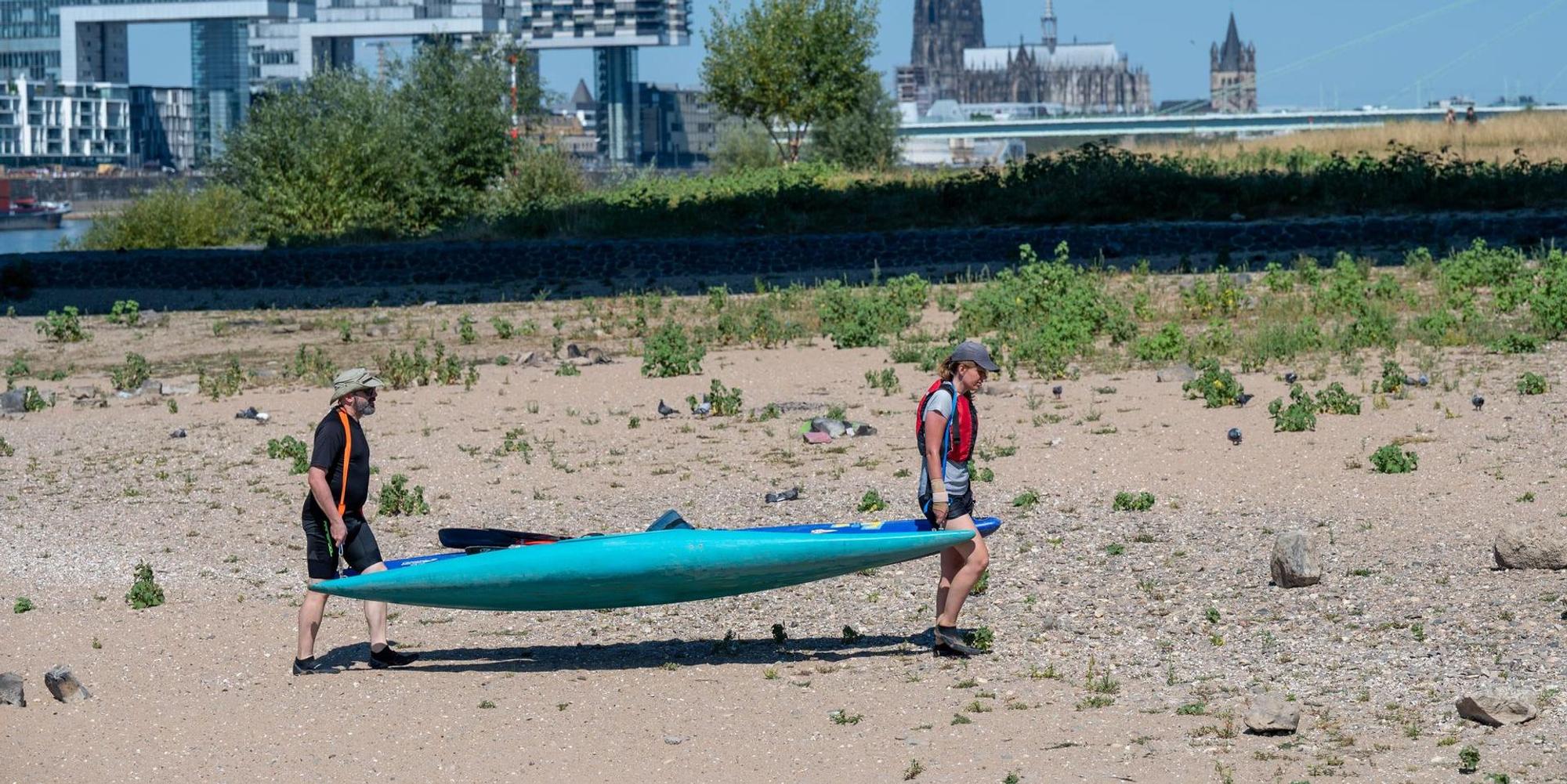 Niedrigwasser Rhein 3