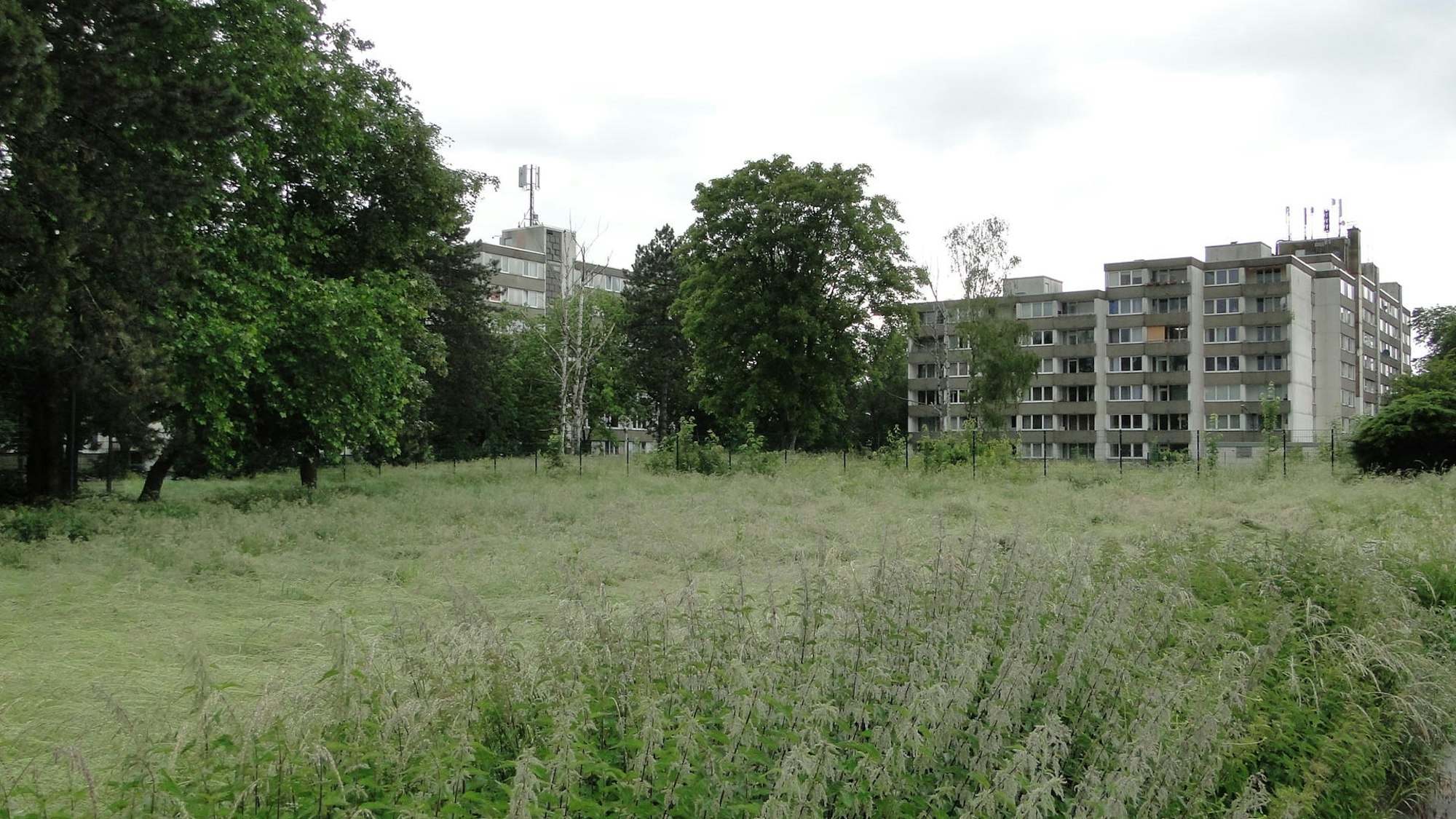 Neuer Inhalt (2)