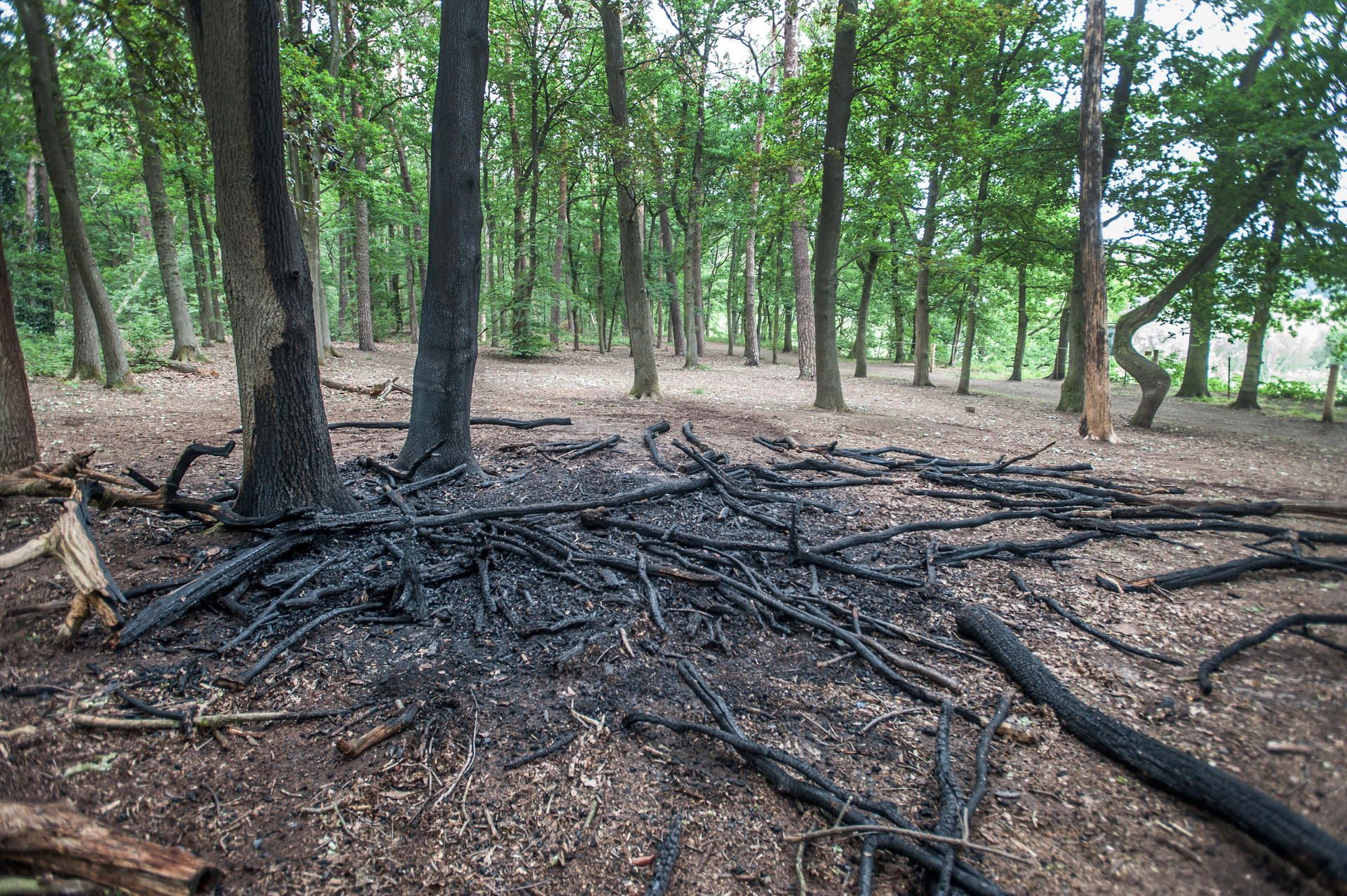 leverkusen-brandstelle-hornpottweg-naturschutzgebiet-ALF