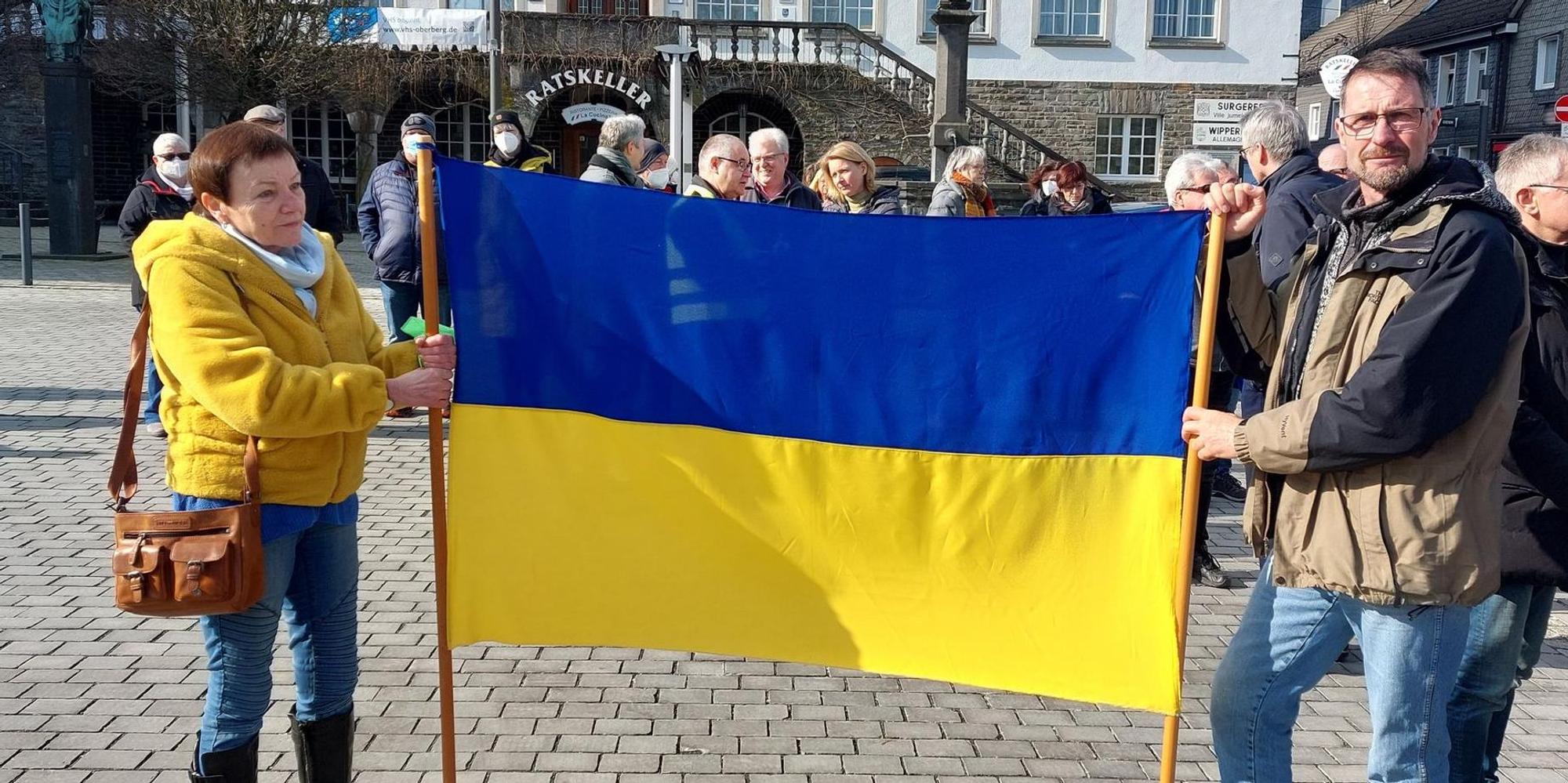 Ukraineflagge WF