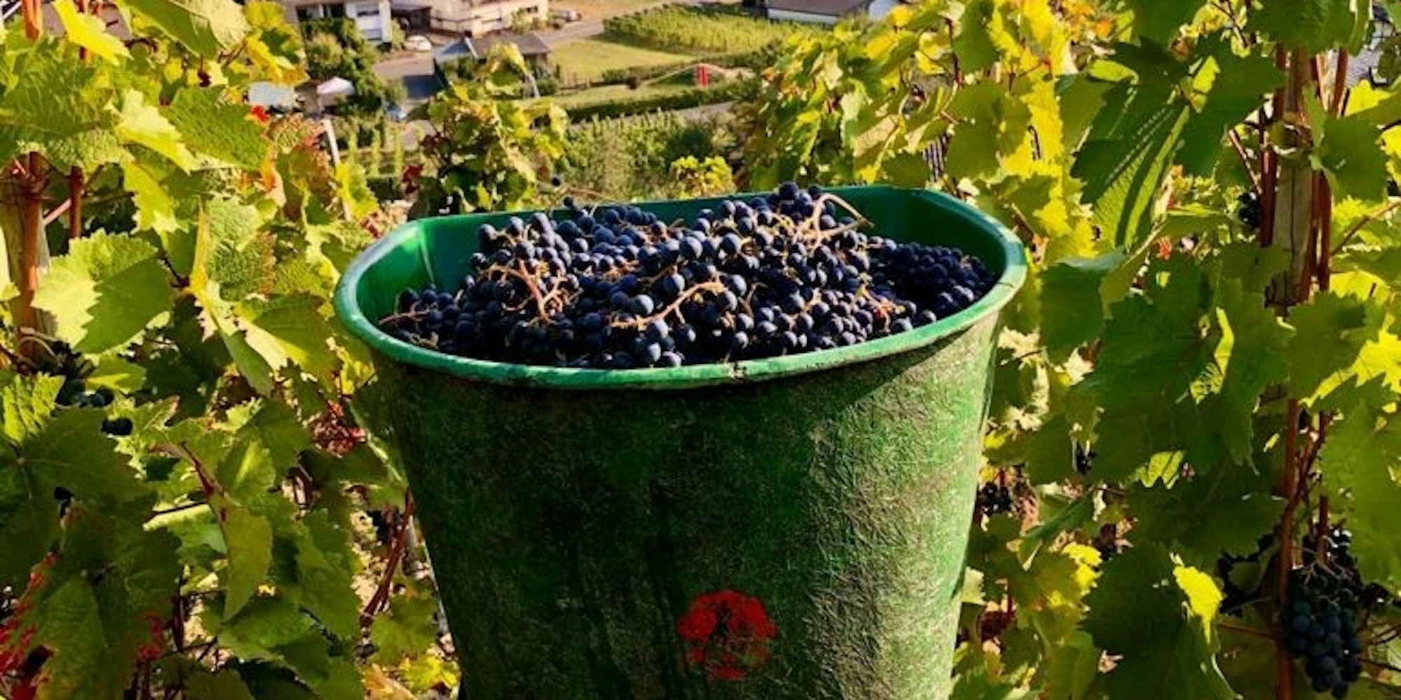 weinkübel mayschoss ahrtal