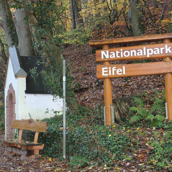 Nationalpark Eifel