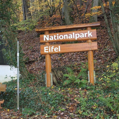 Nationalpark Eifel