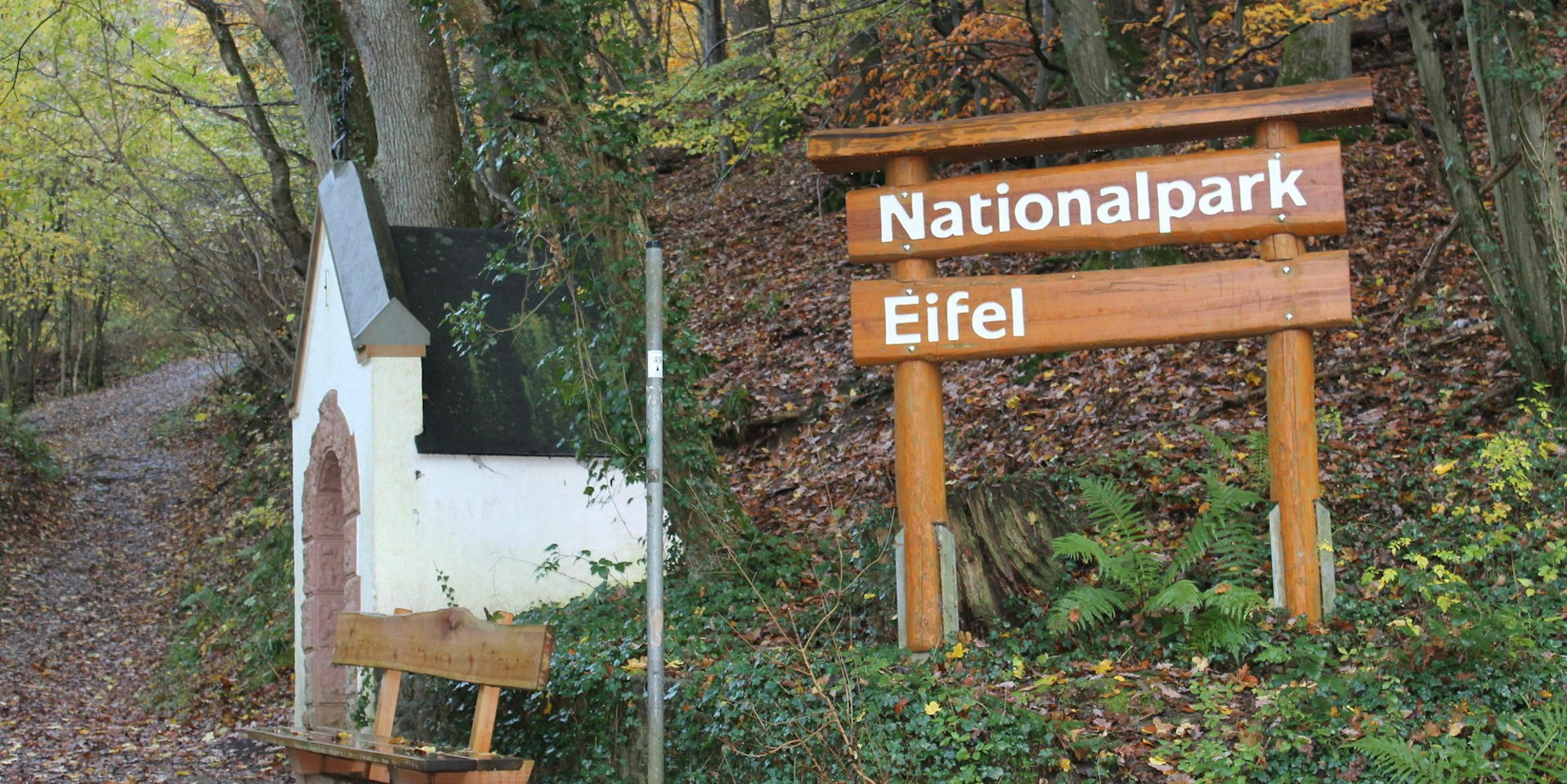 Nationalpark Eifel