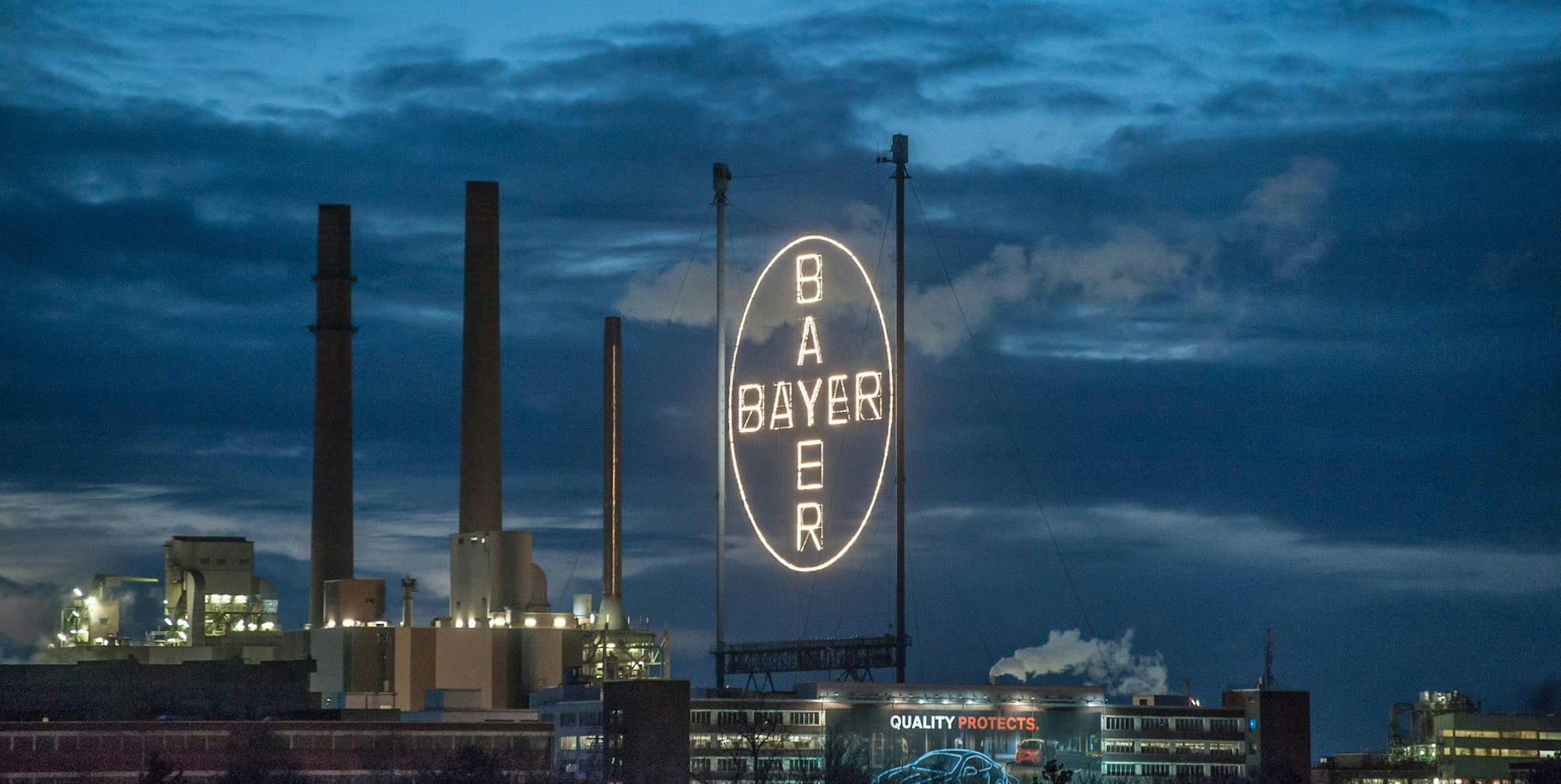 Bayer Künstliche Intelligenz Symbolbild