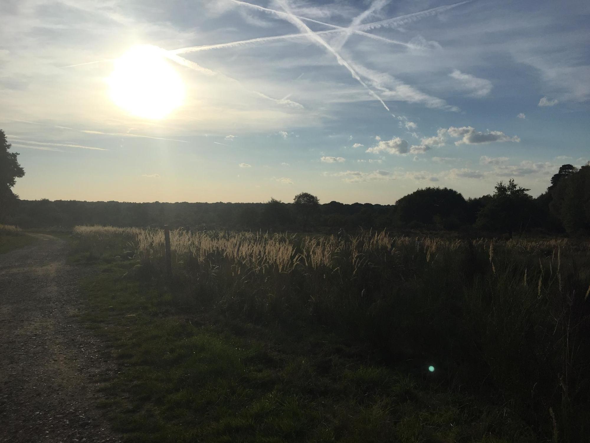 Wahner Heide Reiche 2018-2